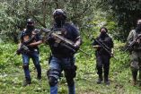 Bajo un modelo de "agnosticismo de mercancía", el Cártel de Sinaloa y el CJNG priorizan el lucro financiero a través de una diversificación agresiva que incluye la minería ilegal, la tala y el tráfico de vida silvestre en continentes como África.
