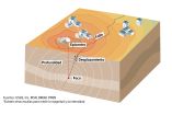 La medición de un sismo.