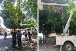 Laureano fue declarado patrimonio natural e histórico de la Ciudad de México, el 4 de agosto de 2025