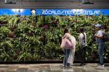El Metro exhortó a los usuarios a respetar los muros verdes.