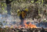 Los indicadores de la Temporada de Incendios Forestales 2026 muestran un escenario favorable.