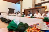Agricultores aseguran que mediante la difusión de información falsa empresas buscan el descrédito hacia la producción aguacatera de Michoacán.