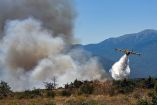 Incendio forestal en Francia.