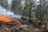 Brigadas de los tres órdenes de gobierno y apoyo aéreo continúan el combate al fuego en Baja California.