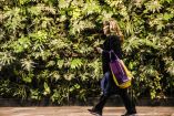 El proyecto incorpora tecnología para monitorear el comportamiento de las plantas dentro del sistema de transporte