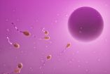 La investigación indica que los hombres acumulan mutaciones en el esperma con el paso del tiempo, muchas de ellas invisibles en los análisis genéticos convencionales.