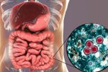 Cyclospora qué es, síntomas además de la diarrea repentina y cómo se transmite