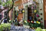 Por todo el barrio de San Ángel se desplegarán exposiciones florales, venta de plantas, talleres y gastronomía