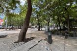 Entre la Diana Cazadora y la Puerta de los Leones únicamente se ubicaron tres botes de basura.
