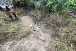 El Colectivo Amor por los Desaparecidos en Tamaulipas localizó siete fosas clandestinas con siete cuerpos en un predio urbano del municipio de Miguel Alemán, en Tamaulipas.