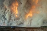 Ontario concentra más de 80 incendios forestales fuera de control.