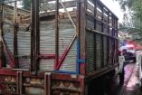 Autoridades de la CDMX aseguran cargamento de madera clandestina en Caltongo; el implicado podría enfrentar una pena de hasta 20 años de prisión.