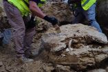 Especialistas realizan las labores de excavación y documentación del caparazón de una Titanochelon bolivari hallado en las obras del Cifse de Madrid. Foto: AYUNTAMIENTO DE MADRID.