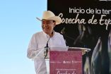 Actividades primarias en Sonora mantienen racha ascendente y conquistan el liderato en el norte del país