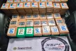 Autoridades federales y de la Ciudad de México detuvieron en la alcaldía Tlalpan a una persona que transportaba 217 kilogramos de cocaína
