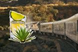 Tren Tequila Express, una nueva forma de conocer el pueblo mágico de Tequila