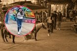 El video acumuló miles de reproducciones en pocas horas y provocó una ola de comentarios de indignación por parte de usuarios.