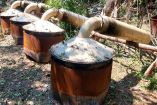 Las acciones se concentraron en los estados de Sinaloa y Michoacán, donde las fuerzas federales aseguraron miles de litros de precursores químicos y equipamiento industrial.