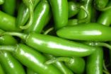 100% libre de bacterias: Pruebas de laboratorio en Nuevo León desestiman riesgos en planta empacadora de chiles