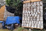 Entre la madera localizada se identificaron especies de oyamel, pino, cedro rojo, salam y zapote