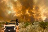 Incendio afecta mil hectáreas de pastizal en el municipio de Jiménez, Tamaulipas