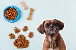 El aviso de retiro fue publicado el 21 de agosto de 2026 y aplica a productos distribuidos en tiendas de mascotas y comercio electrónico