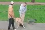 Abandonan a perritos