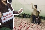 Kusama causó revuelo cuando su obra se presentó en México