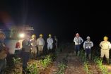 Apagón en Yucatán, Quintana Roo, Campeche y Chiapas fue por vandalismo; CFE restablece servicio