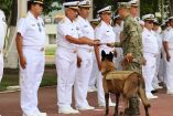 hermes-semar-jubilacion