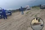 Ataques de jaurías dejan 2 muertos y 3 heridos en Hidalgo