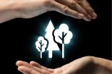 Mexico Carbon Forum 2026: BioCarbon Cert innova en lo ambiental