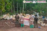 Semar desmantela narcolaboratorio de metanfetamina en Sinaloa