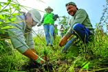 Con el programa Bosques por Siempre se enfocan en el manejo de cuencas y la protección del Bosque de Agua, priorizando predios recuperados, zonas con plagas o pérdida de cobertura.