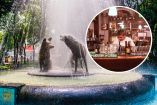 Cantinas en Coyoacán: un recorrido por 4 lugares para comer y beber