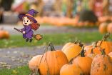 Pumpkin Fest México 2026: actividades, fechas, horarios y boletos