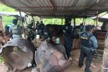 Desmantelamiento de tres laboratorios clandestinos en Guerrero