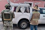 Los recolectores no pudieron comprobar que contaban con autorización para su aprovechamiento.