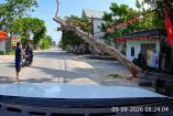 Árbol caído ocupa parte de una carretera en Vietnam, frente a viviendas y comercios, mientras motociclistas observan el lugar.