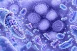 Los lisados bacterianos podrían ayudar contra enfermedades como la influenza