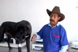 "Bocanegra" recibe tratamiento veterinario por quemaduras y heridas en sus patas, además de estudios de rayos X para descartar fracturas en sus extremidades.
