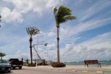 De acuerdo con la información presentada, alrededor de 700 personas fueron trasladadas a refugios temporales.