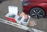 Tras revisar el auto, la autoridad correspondiente reveló que no se encontró documentación que acreditara su legal procedencia.