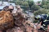 La palmera daño una marquesina