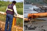 Como parte del protocolo, se revisó la aplicación de planes de contingencia y medidas de emergencia