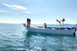 La pesca con redes de enmalle en el hábitat de la vaquita marina nunca se detuvo
