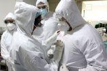 Expertos destacan que "en la actualidad, no hay pruebas de que el virus de Shamonda provoque una enfermedad generalizada en humano”.