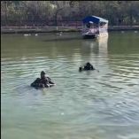 Sus compañeros de escuela lo incitaron a realizar dicho reto, tras los hechos, alertaron a los cuerpos de emergencia y después huyeron del lugar.