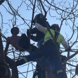 Bomberos y rescatistas salvaron a un hombre que trepó desnudo a un poste en Coyoacán, tras una hora y media de tensión.