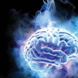 El Costo Humano del Aire Sucio. Muertes anuales totales: 59,000 personas en México.